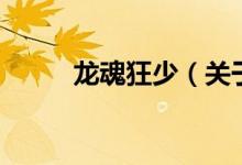 龍魂狂少（關于龍魂狂少的介紹）