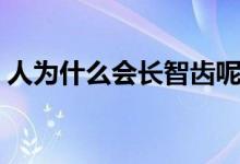 人為什么會(huì)長(zhǎng)智齒呢（人為什么會(huì)長(zhǎng)智齒呢）