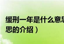 緩刑一年是什么意思（關(guān)于緩刑一年是什么意思的介紹）