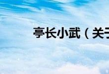 亭長小武（關(guān)于亭長小武的介紹）
