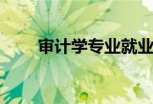 審計(jì)學(xué)專業(yè)就業(yè)形勢(shì)（好找工作嗎）