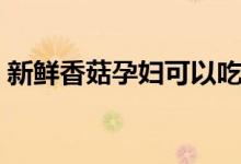 新鮮香菇孕婦可以吃嗎（孕婦可以吃香菇嗎）