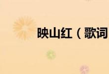 映山紅（歌詞 映山紅整首歌詞）