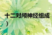 十二對顱神經(jīng)組成（十二對顱神經(jīng)分別是什么）