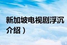 新加坡電視劇浮沉（關于新加坡電視劇浮沉的介紹）
