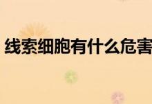 線索細(xì)胞有什么危害(萬一出現(xiàn)后果很嚴(yán)重)