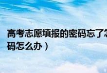 高考志愿填報(bào)的密碼忘了怎么辦（2022高考報(bào)志愿忘記了密碼怎么辦）