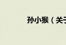 孫小猴（關(guān)于孫小猴的介紹）
