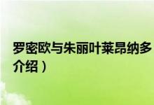 羅密歐與朱麗葉萊昂納多（關(guān)于羅密歐與朱麗葉萊昂納多的介紹）