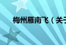 梅州雁南飛（關(guān)于梅州雁南飛的介紹）