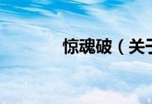 驚魂破(關(guān)于驚魂破的介紹)