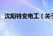 沈陽特變電工（關(guān)于沈陽特變電工的介紹）