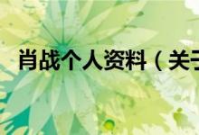 肖戰(zhàn)個人資料（關(guān)于肖戰(zhàn)個人資料的介紹）