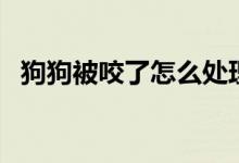 狗狗被咬了怎么處理(主人需要怎么救治)