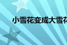 小雪花變成大雪花（x線和b超的區(qū)別）
