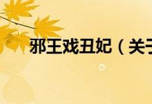 邪王戲丑妃（關(guān)于邪王戲丑妃的介紹）
