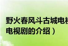 野火春風(fēng)斗古城電視劇（關(guān)于野火春風(fēng)斗古城電視劇的介紹）