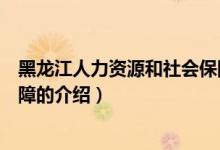 黑龍江人力資源和社會(huì)保障（關(guān)于黑龍江人力資源和社會(huì)保障的介紹）