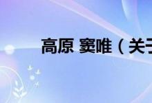 高原 竇唯（關(guān)于高原 竇唯的介紹）