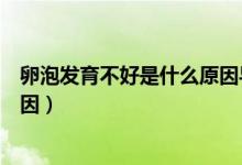 卵泡發(fā)育不好是什么原因?qū)е碌哪兀雅莅l(fā)育不好是什么原因）