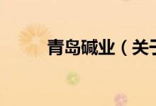 青島堿業(yè)（關(guān)于青島堿業(yè)的介紹）
