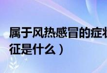 屬于風熱感冒的癥狀有(熱傷風感冒的癥狀特征是什么)