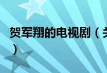 賀軍翔的電視?。P(guān)于賀軍翔的電視劇的介紹）