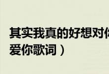 其實(shí)我真的好想對(duì)你說(shuō)是什么歌(死心塌地去愛(ài)你歌詞)