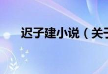 遲子建小說（關(guān)于遲子建小說的介紹）