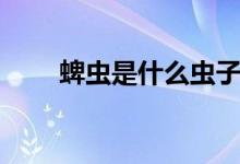 蜱蟲(chóng)是什么蟲(chóng)子圖片（蜱蟲(chóng)是什么）