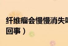 纖維瘤會慢慢消失嗎(纖維瘤自己消失是怎么回事)