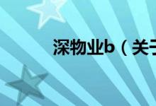 深物業(yè)b（關(guān)于深物業(yè)b的介紹）