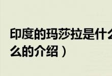 印度的瑪莎拉是什么（關(guān)于印度的瑪莎拉是什么的介紹）