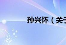 孫興懷（關(guān)于孫興懷的介紹）