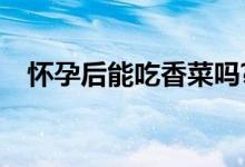 懷孕后能吃香菜嗎?（懷孕了能吃香菜嗎）