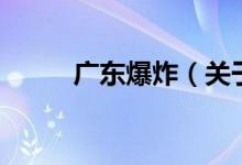廣東爆炸（關(guān)于廣東爆炸的介紹）