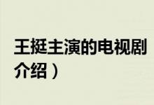 王挺主演的電視劇（關(guān)于王挺主演的電視劇的介紹）