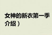 女神的新衣第一季（關(guān)于女神的新衣第一季的介紹）