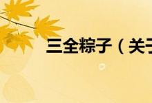 三全粽子（關(guān)于三全粽子的介紹）