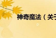 神奇魔法（關(guān)于神奇魔法的介紹）