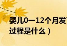 嬰兒0一12個月發(fā)育（嬰兒0-12個月的發(fā)育過程是什么）