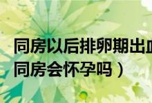 同房以后排卵期出血會懷孕嗎(排卵期出血后同房會懷孕嗎)