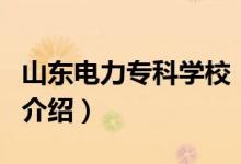 山東電力?？茖W(xué)校（關(guān)于山東電力專科學(xué)校的介紹）