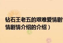 鉆石王老五的艱難愛(ài)情劇情介紹（關(guān)于鉆石王老五的艱難愛(ài)情劇情介紹的介紹）
