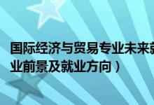 國際經(jīng)濟與貿(mào)易專業(yè)未來就業(yè)（2022國際經(jīng)濟與貿(mào)易專業(yè)就業(yè)前景及就業(yè)方向）