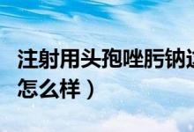 注射用頭孢唑肟鈉這么貴（注射用頭孢噻肟鈉怎么樣）