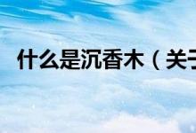 什么是沉香木（關于什么是沉香木的介紹）