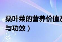 桑葉菜的營(yíng)養(yǎng)價(jià)值及功效(桑葉菜的營(yíng)養(yǎng)價(jià)值與功效)