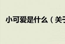小可愛是什么（關于小可愛是什么的介紹）