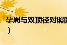孕周與雙頂徑對照圖（雙頂徑與孕周對照方法）